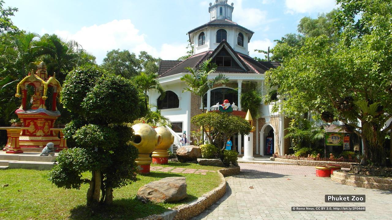 Zen Rooms Basic Nanai Phuket Patong Esterno foto